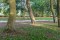 20180909_sporen__DSF4622