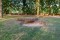 20180909_sporen__DSF4624