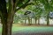 20180909_sporen__DSF4654