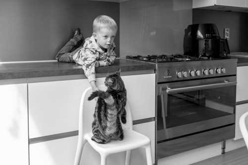 20190619_vic__DSF3648