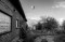 20200904_henri__DSF7006