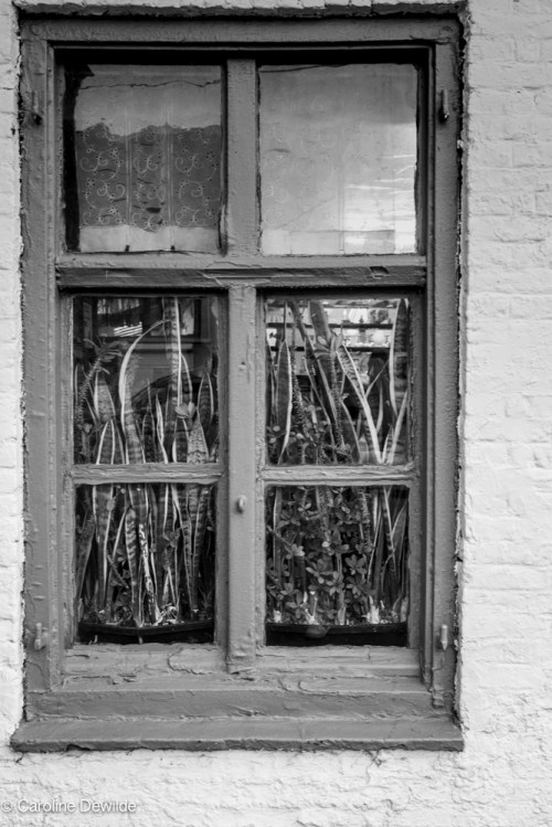 20190331_gisele__dsf0701