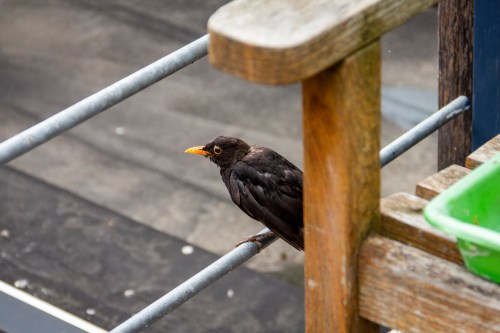 20220908_marcel__mg_2701