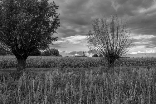 20220909_selfie__mg_2719