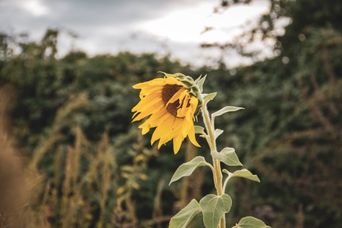 20220909_selfie__mg_2723