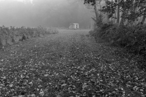 20171103-natuur-_dsf9315