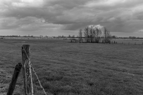 20230323_schapen_dscf4491